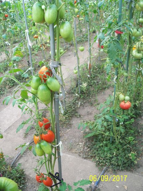 RUSSIAN LADIES MAN (8) - RUSSIAN LADIES MAN