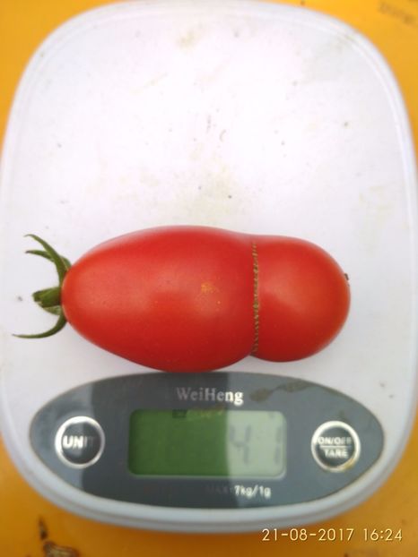 RUSSIAN LADIES MAN (15) - RUSSIAN LADIES MAN