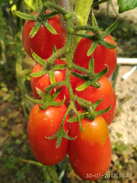 RUSSIAN LADIES MAN (21) - RUSSIAN LADIES MAN