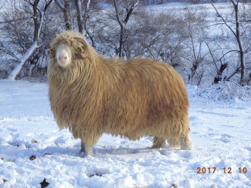  - Berbecuti 2016-2017-2018