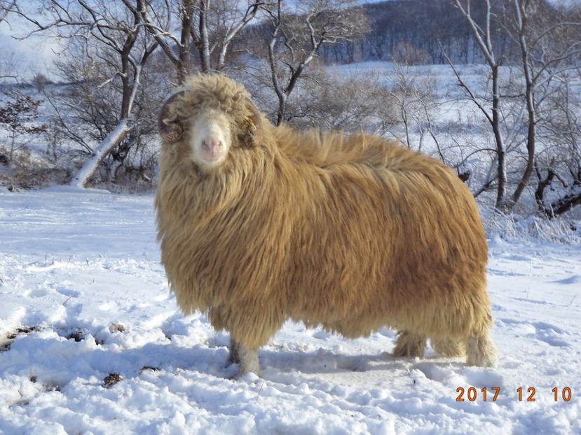  - Berbecuti 2016-2017-2018