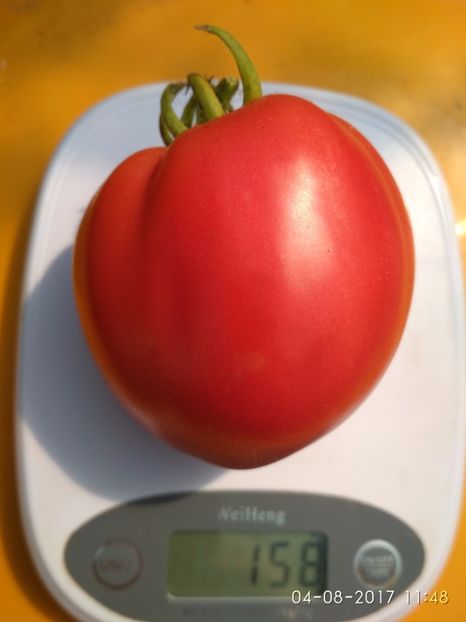 SWEETHEART (17) - SWEETHEART