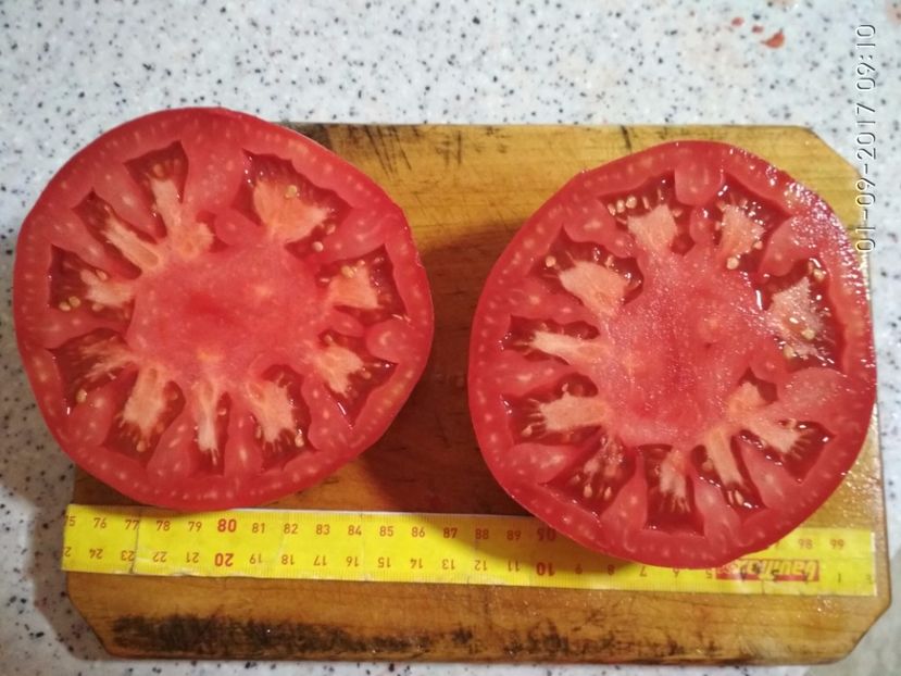 URIAȘE ROZ BĂLENI 425 (1) - URIAȘE ROZ DE BĂLENI 2017