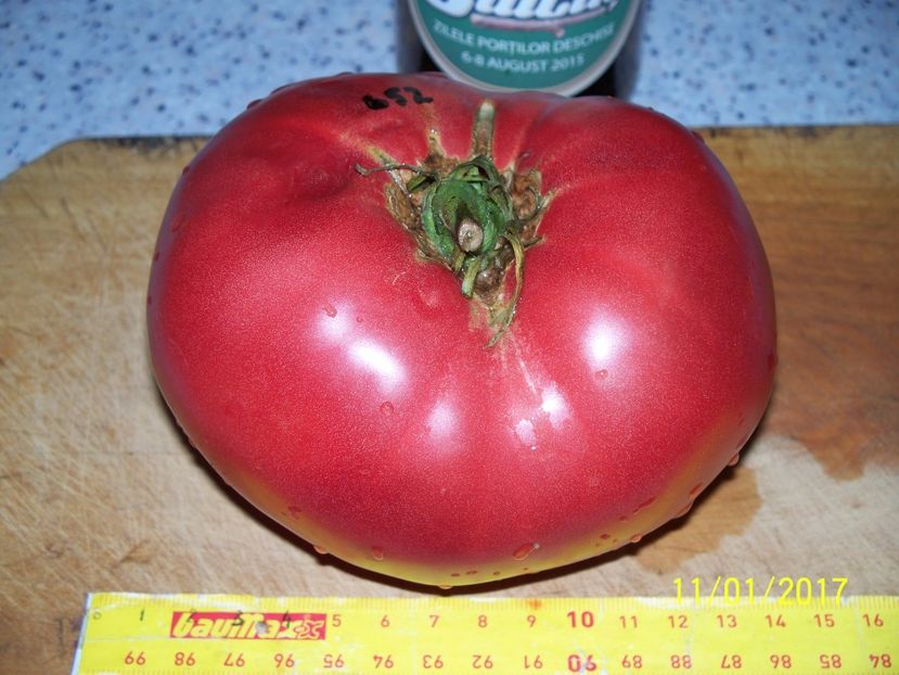 URIAȘE ROZ BĂLENI 652 gr  (1) - URIAȘE ROZ DE BĂLENI 2017