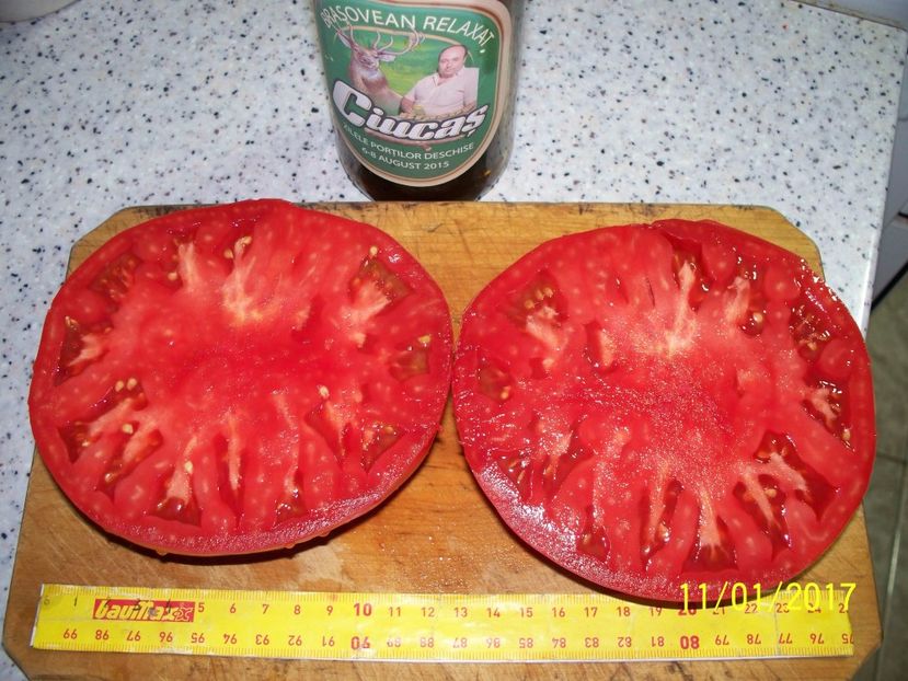 URIAȘE ROZ BĂLENI 652 gr  (3) - URIAȘE ROZ DE BĂLENI 2017