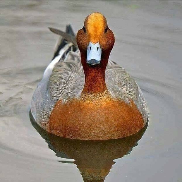  - Un fel de rai pe pământ!