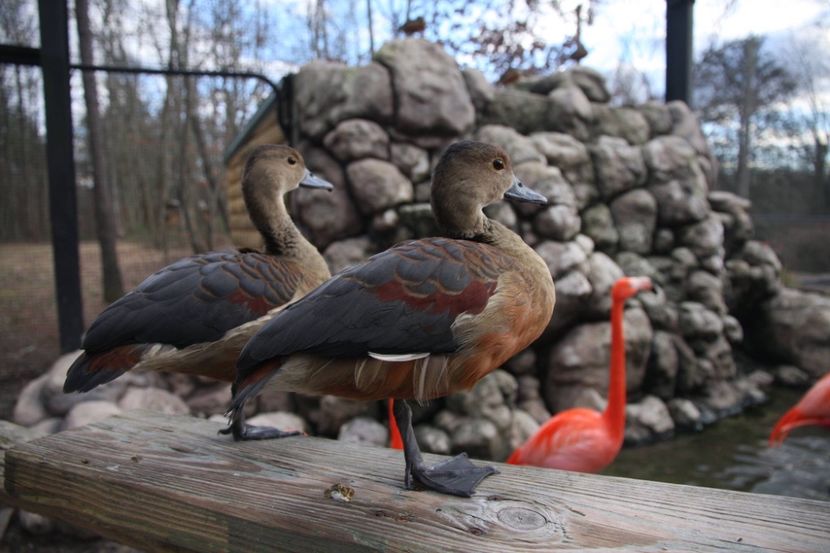  - Un fel de rai pe pământ!