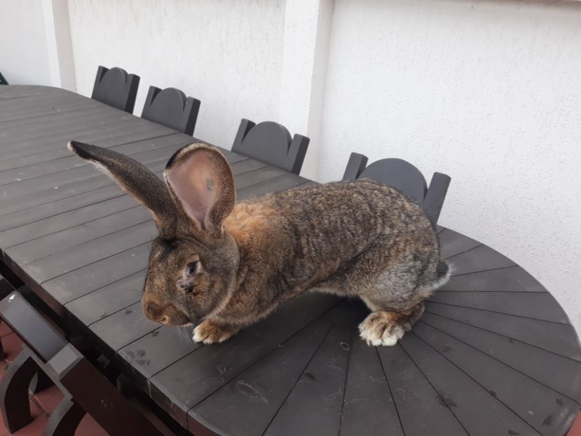 M1 11-12-2017 - M 1 UGG 2018