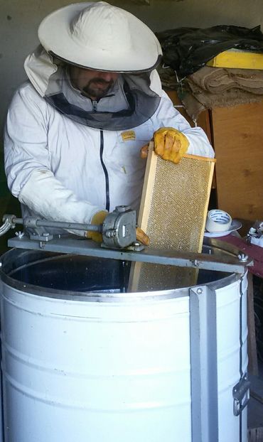 20170519_114515-1 - my Bees