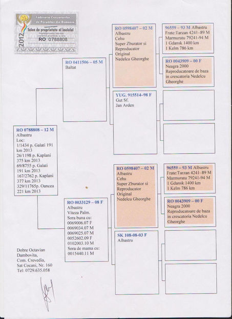 M-2012-0788808 - Mascul Loc 1 Derby pui-Norma viteza demifond2013- -M-0788808-12