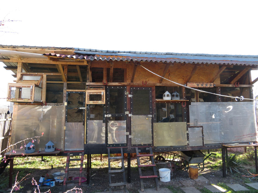 pregatita de iarna - Vila Paradis - vechea si noua volieră