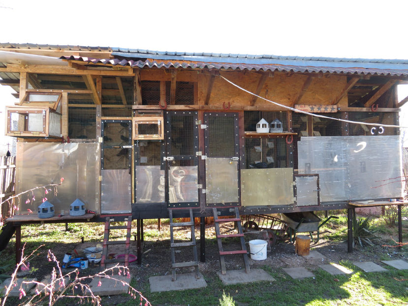  - Vila Paradis - vechea si noua volieră