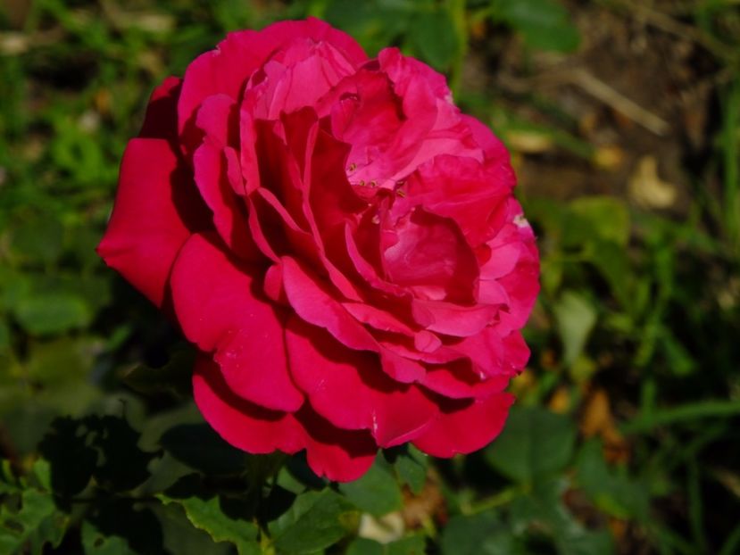 Gospel - 2017_08_August