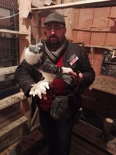 received_497948677270783 - GUSATI DE POMERANIA