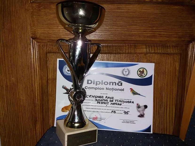 BUCURESTI 2017 - Titluri Campion National