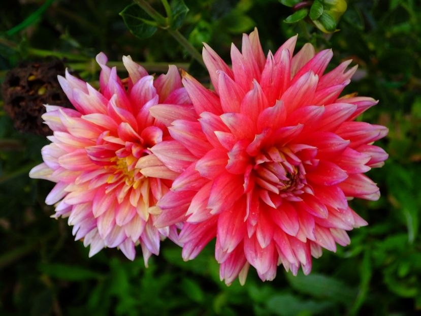  - 2017_09_Septembrie