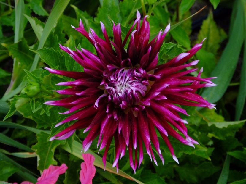  - 2017_09_Septembrie