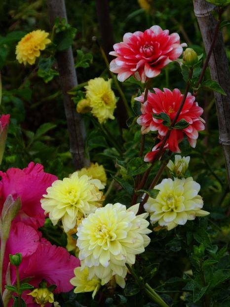  - 2017_09_Septembrie