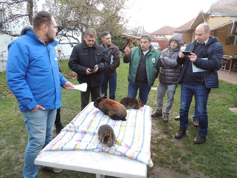 prez rase 23 - Reuniune Râșnov 2017