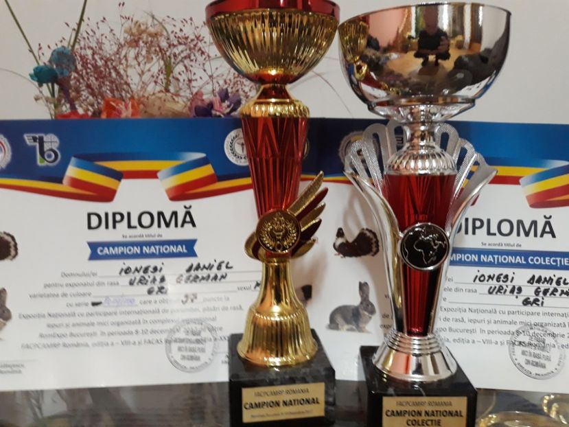  - CAMPION NATIONAL 2017 BUCURESTI