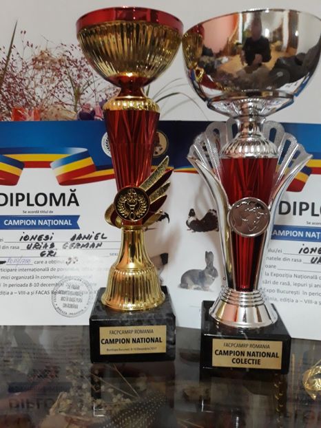  - CAMPION NATIONAL 2017 BUCURESTI