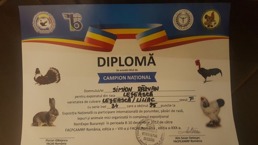 Campion national - Expo nationala 2017