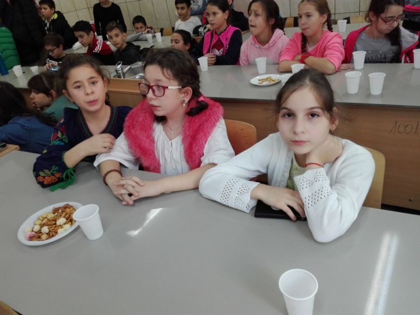  - Activitate de 1 Decembrie