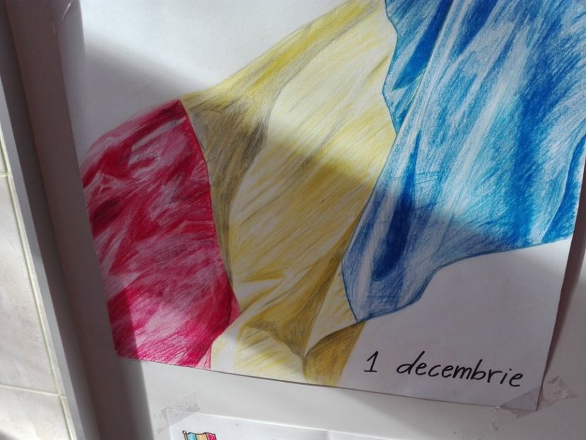  - Activitate de 1 Decembrie