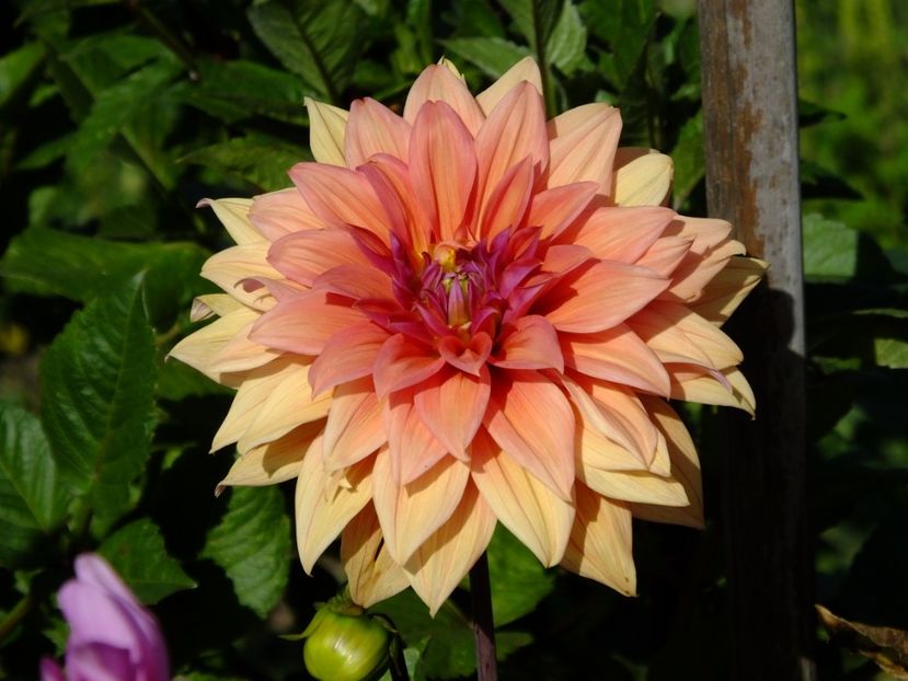  - 2017_09_Septembrie