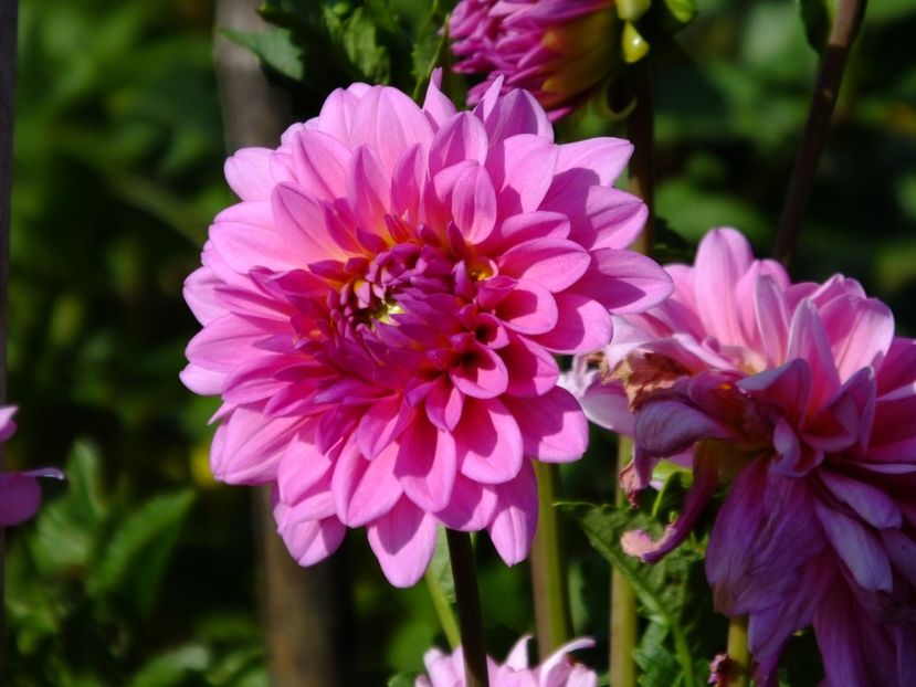  - 2017_09_Septembrie