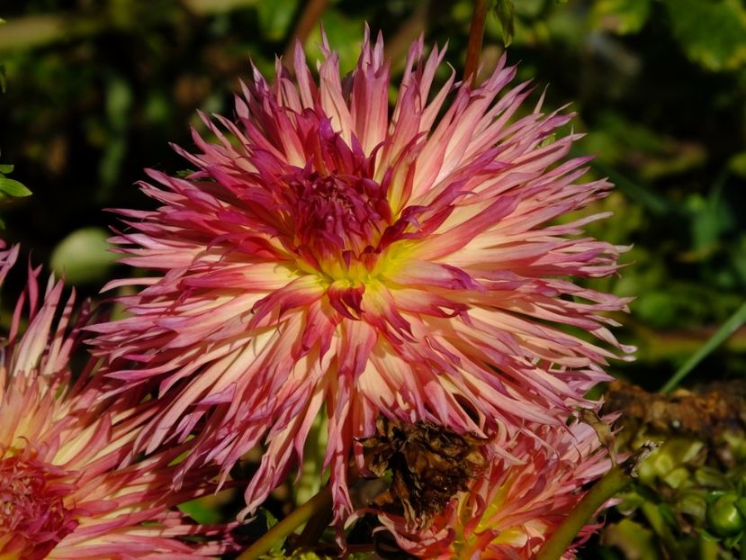  - 2017_09_Septembrie