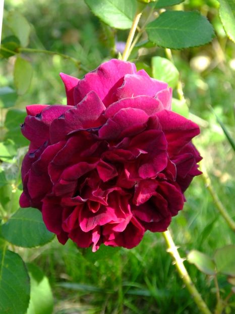  - 2017_09_Septembrie