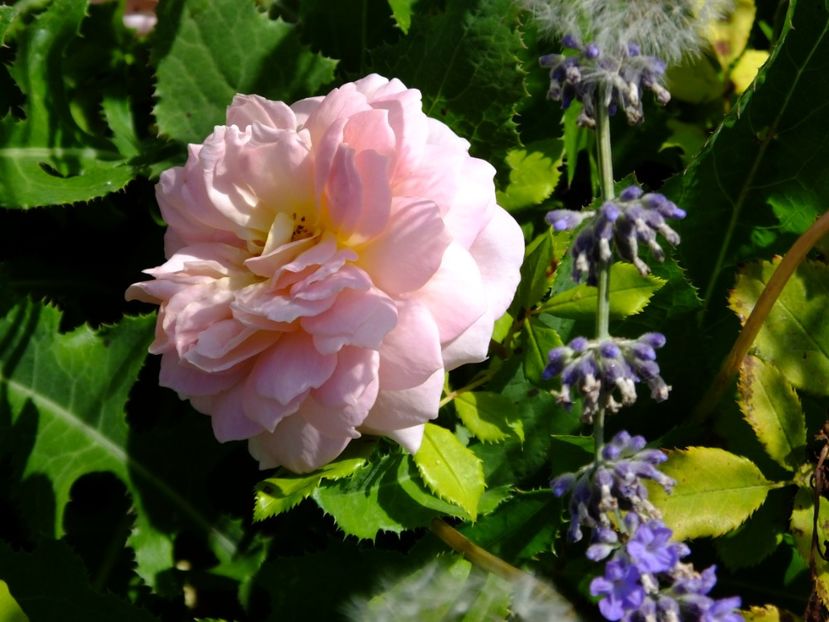  - 2017_09_Septembrie