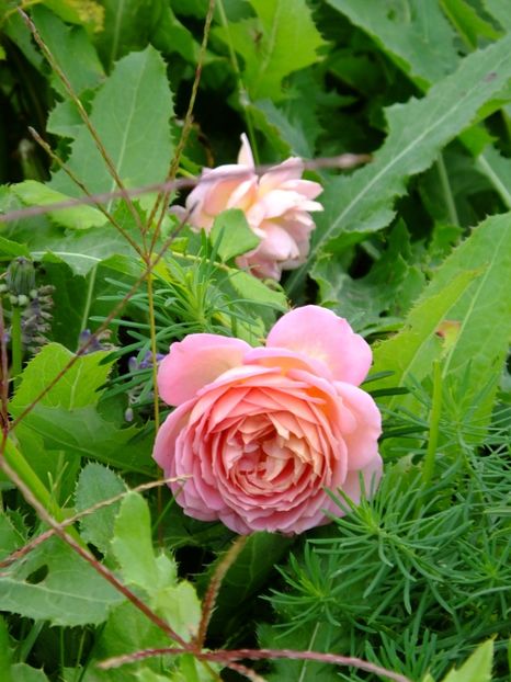  - 2017_09_Septembrie