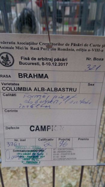 IMG-20171208-WA0051 - Expoziția Națională Bucureşti 2017