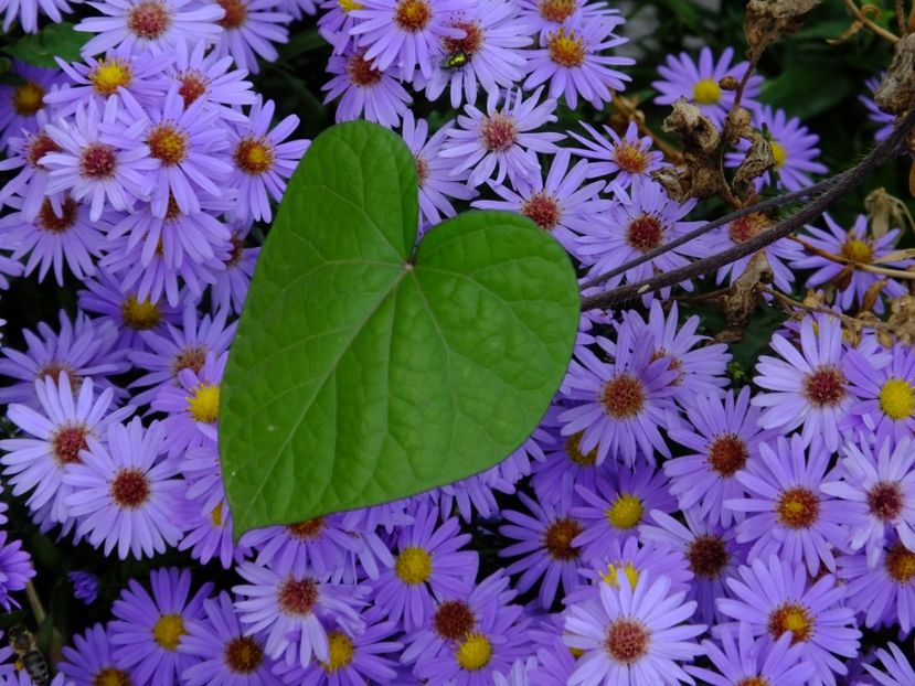  - 2017_09_Septembrie