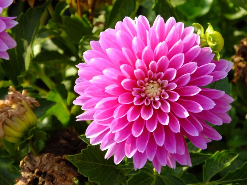  - 2017_09_Septembrie