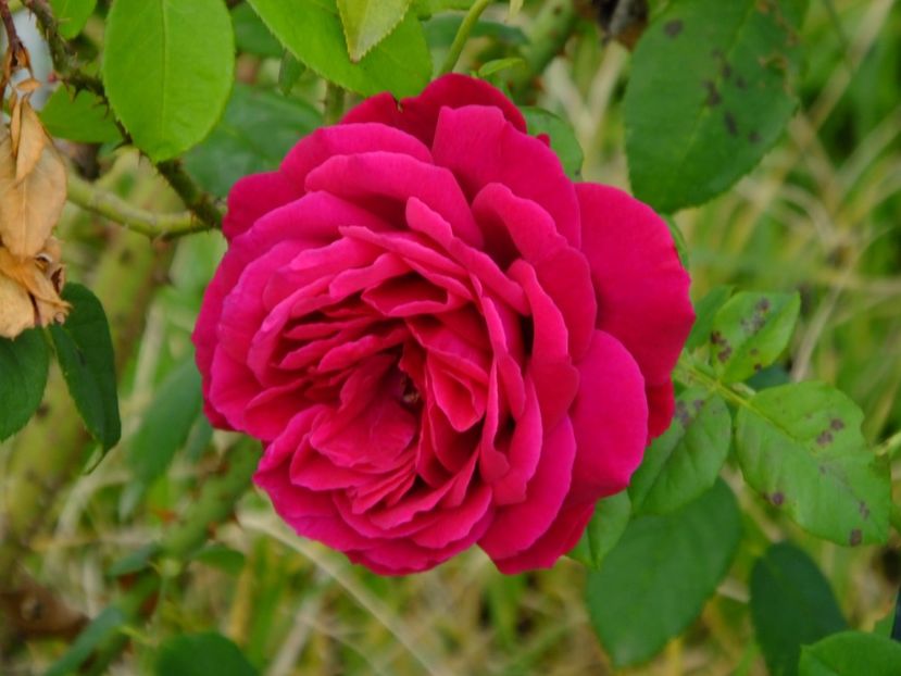 Gospel - 2017_10_Octombrie