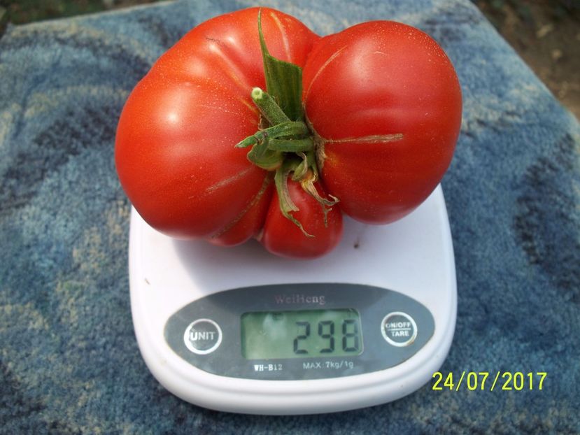 AURORA 298 (1) - AURORA