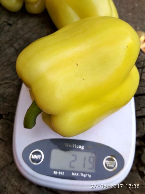 ARDEI APOLLO F1 (13) - ARDEI APOLLO F1