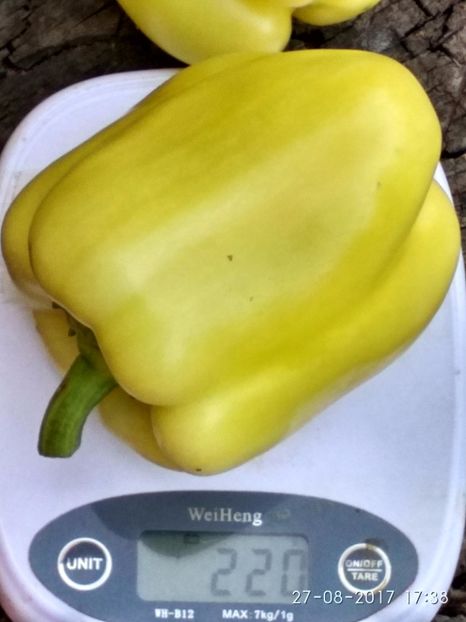 ARDEI APOLLO F1 (14) - ARDEI APOLLO F1