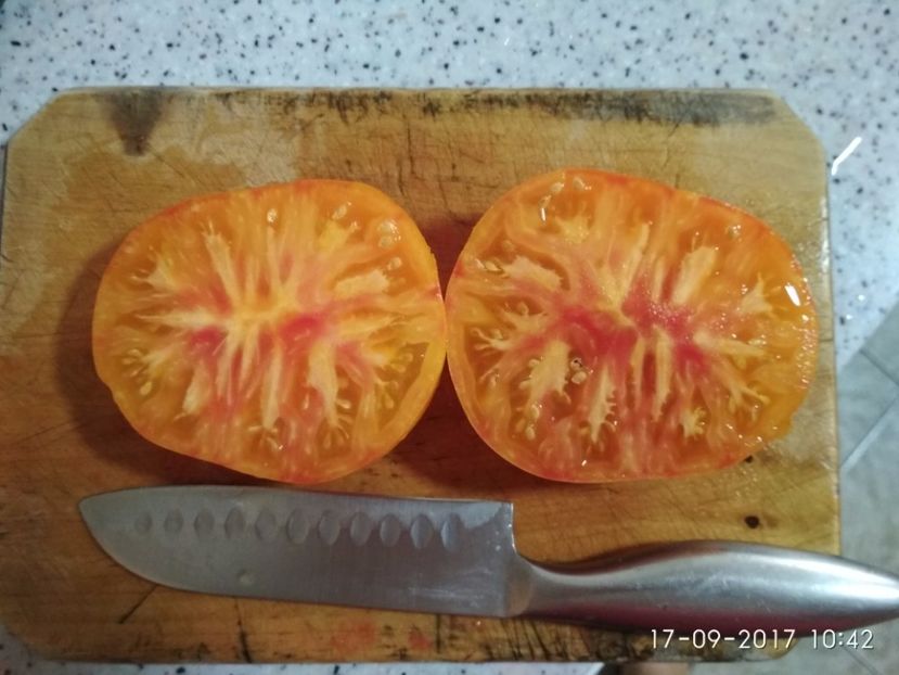 BEAUTY KING (11) - BEAUTY KING 2016-2017