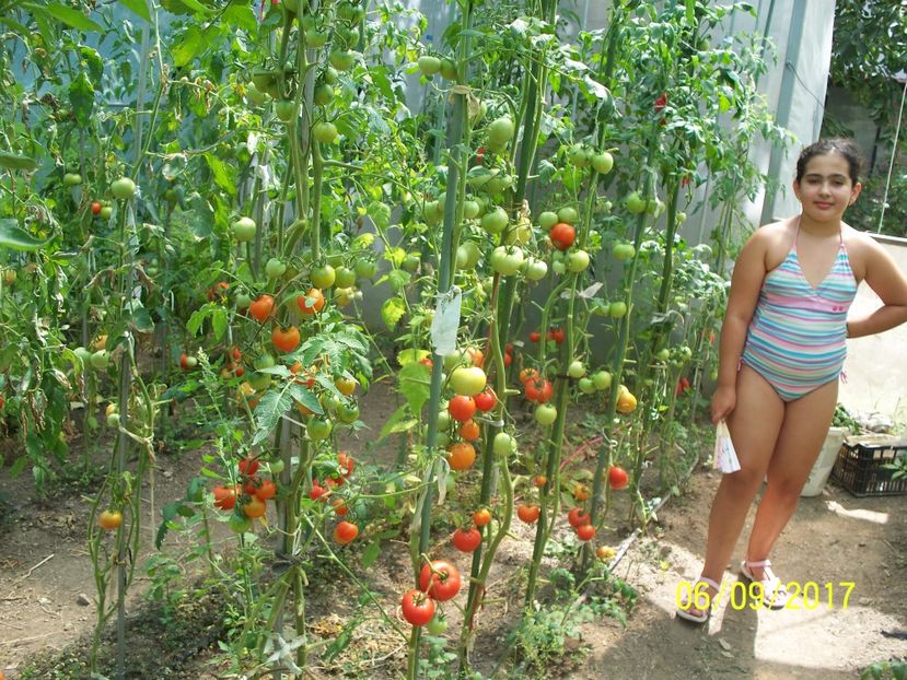 BIG BOY F1 (15) - BIG BOY 2017