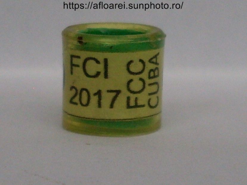 FCI 2017 FCC CUBA - CUBA-FCC