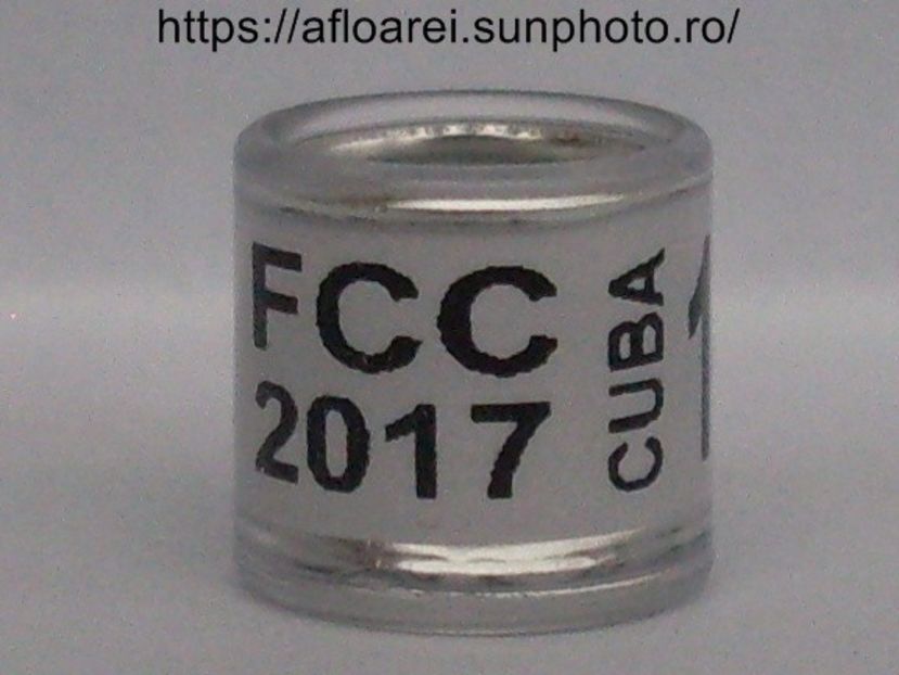 FCC 2017 CUBA - CUBA-FCC