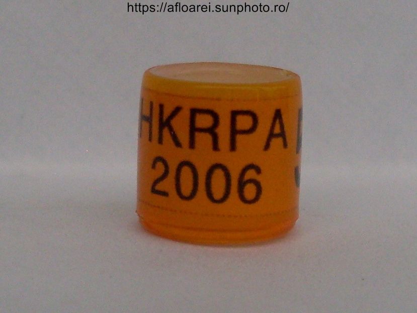 HKRPA 2006 - HONG KONG