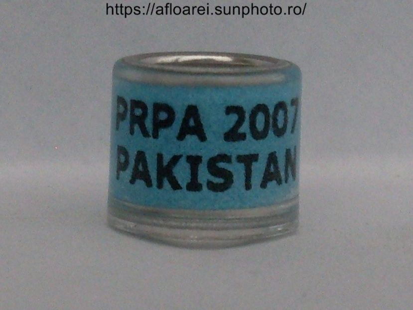 PRPA  2007 PAKISTAN ALBASTRU - PAKISTAN-PAK