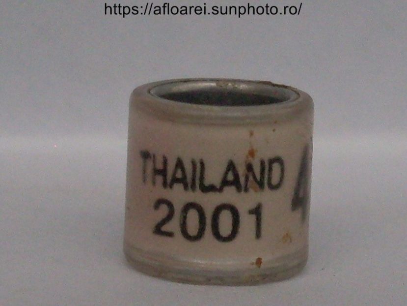 THAILAND 2001 - THAILANDA