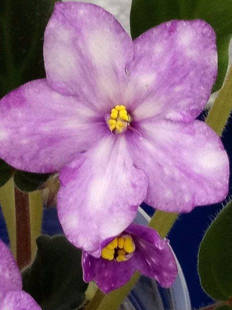 13 dec - ZZ AE Fly To The Moon