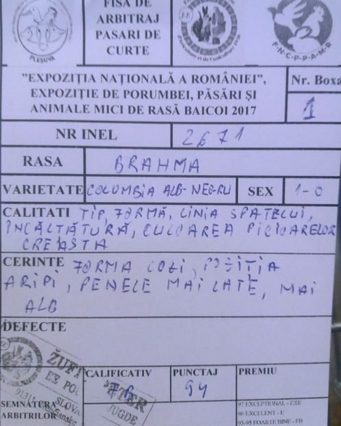 FISA MASCUL BHD - EXPOZITIA NATIONALA BAICOI 01-03 12 2017